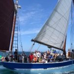 Sortie en mer une demi-journée en après midi