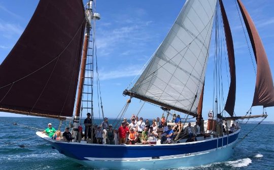Sortie en mer une demi-journée en après midi