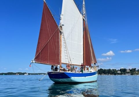 Sortie en mer - demie journée en matinée