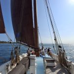 Sortie en mer une demi-journée en après midi